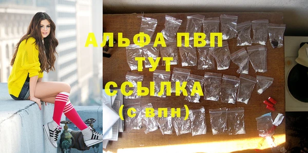 ПСИЛОЦИБИНОВЫЕ ГРИБЫ Нефтекумск