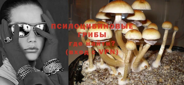 PSILOCYBIN Алексеевка