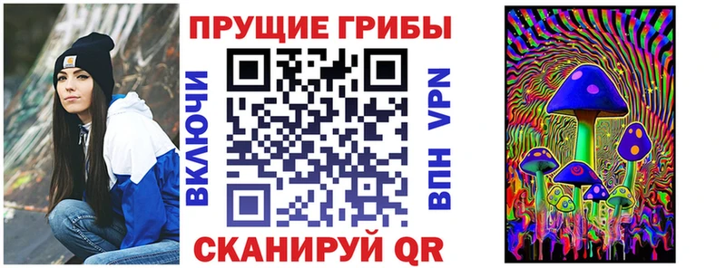 Псилоцибиновые грибы Psilocybe  Шарыпово 